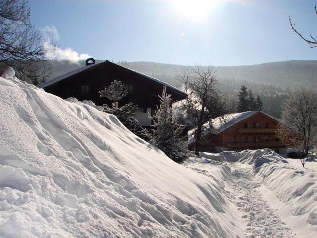Pension Klose Kubova Huť Extérieur photo